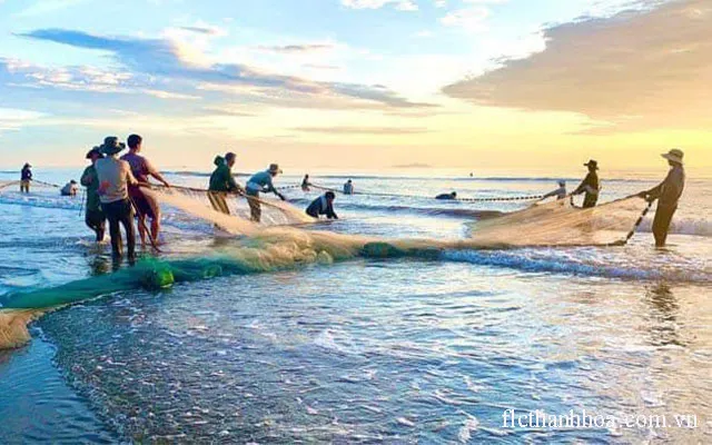 Ngư dân Sầm Sơn kéo lưới thu hải sản